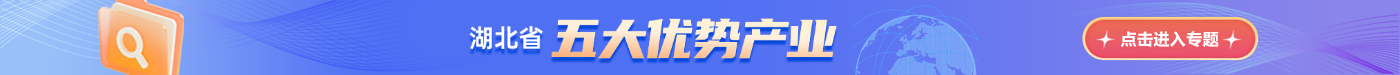 湖北省五大优势产业